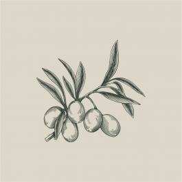 DER GRIECHE IM EIDAMSHAUS